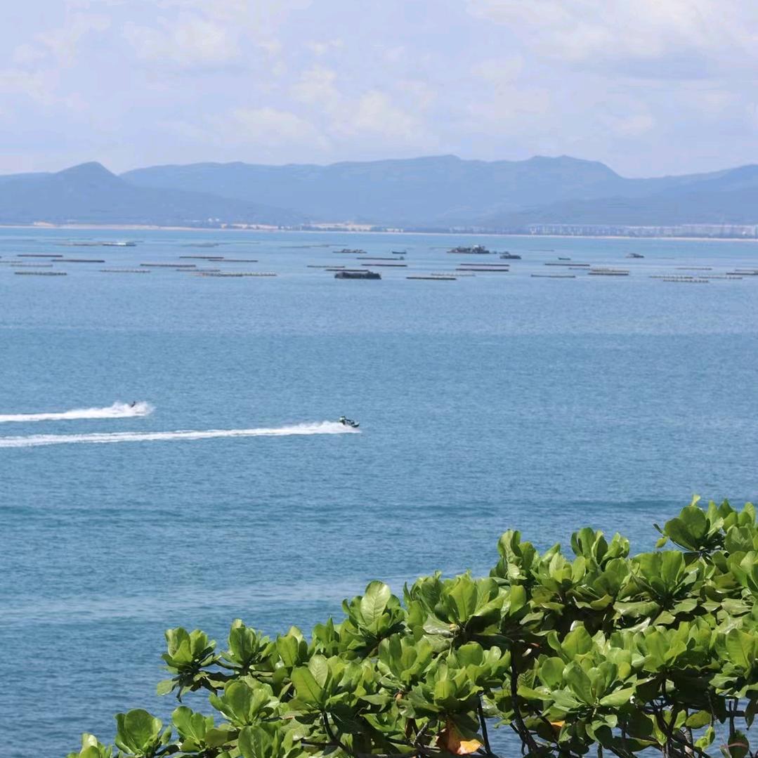 生椰拿铁