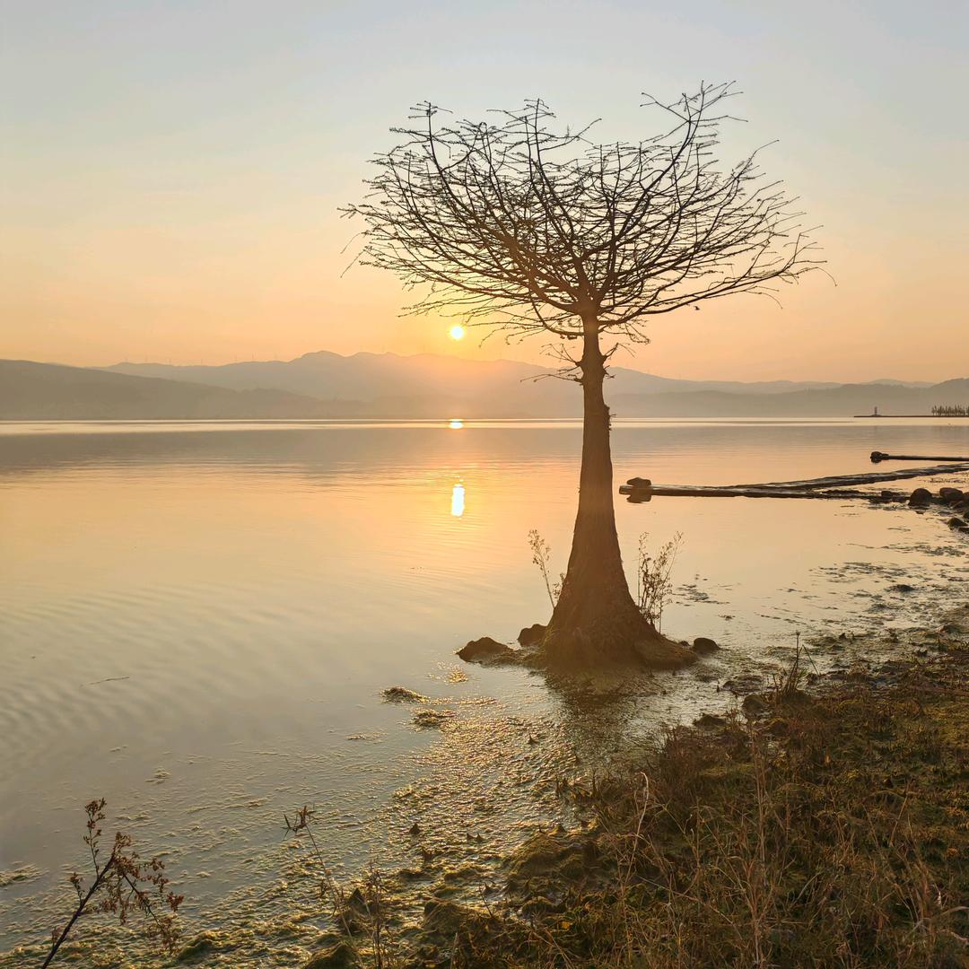 ❄❄一生有李💥