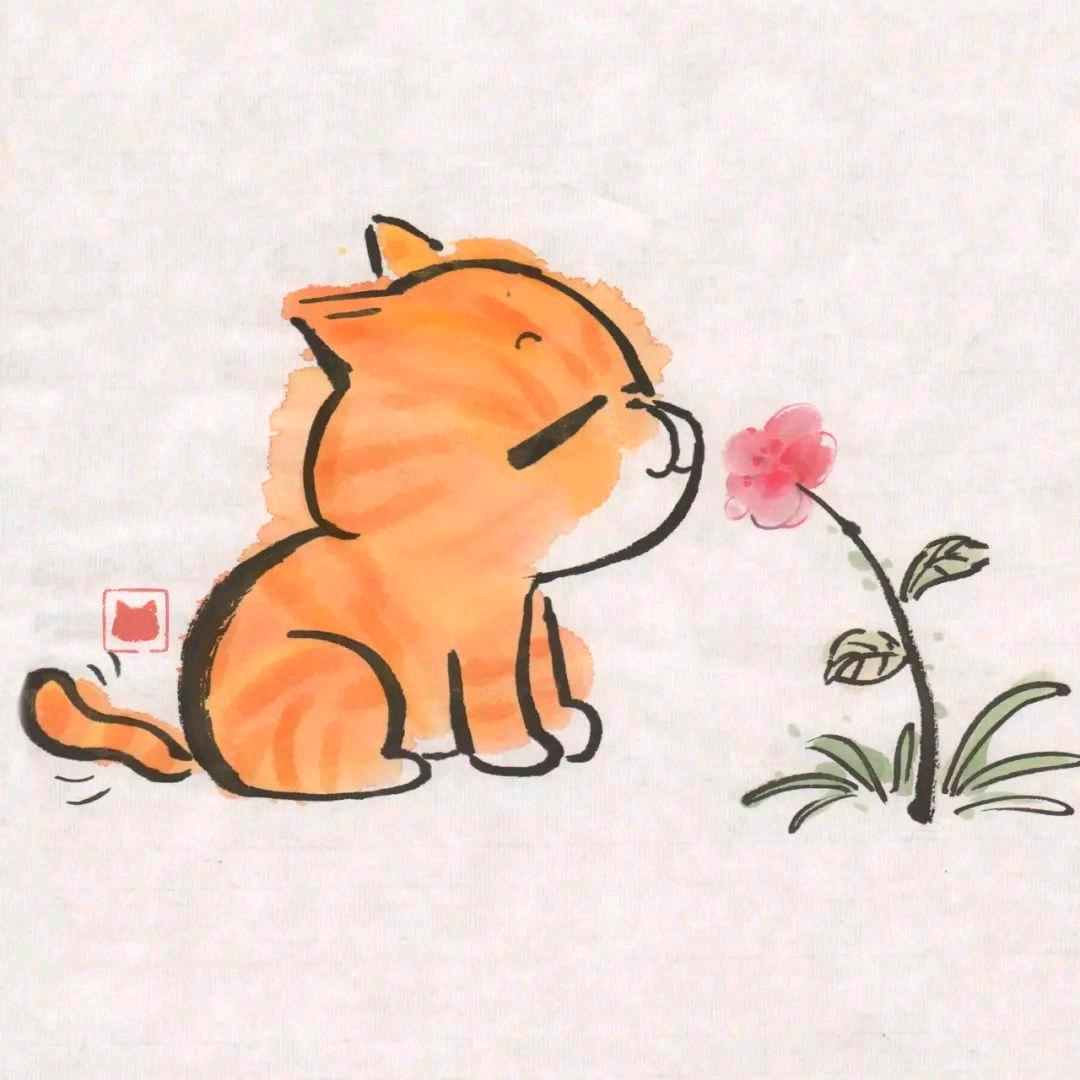 总有猫咪想怼朕