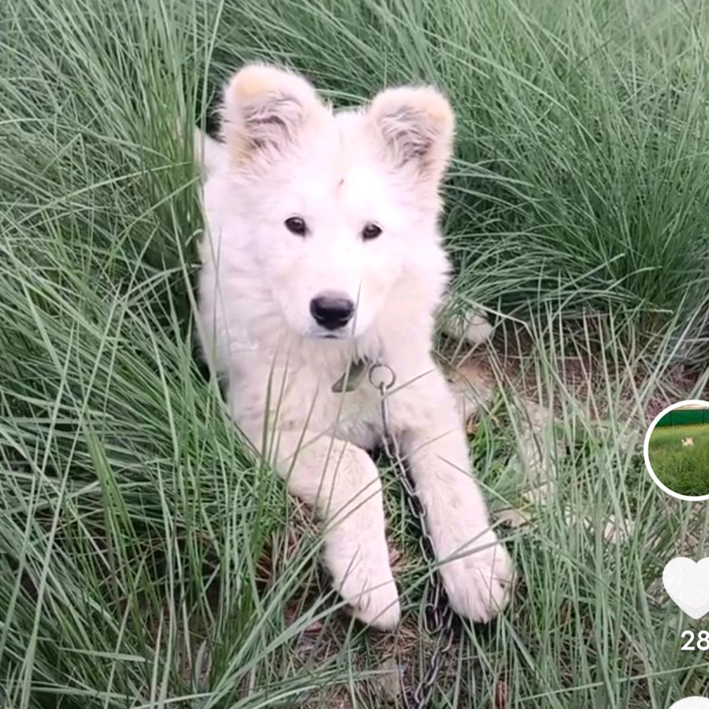 农村谭妹子3443480252177