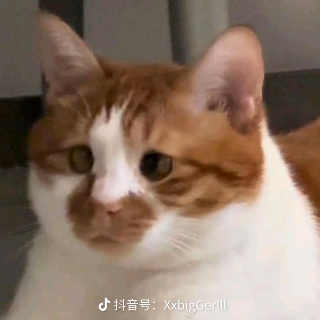 尤其