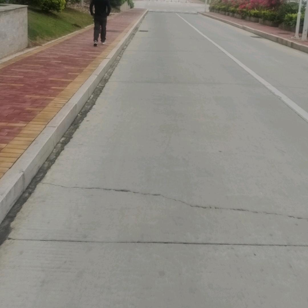不羁的风