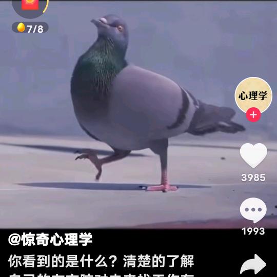 大海润泽
