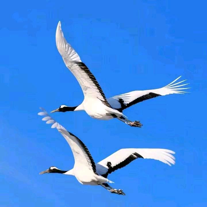 💕平安健康💕