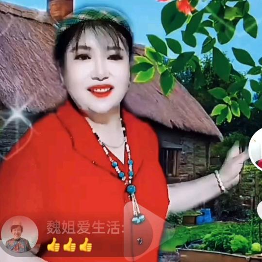 王二姐