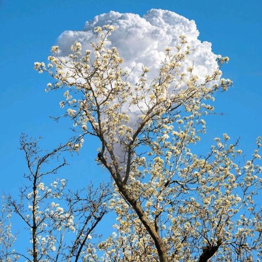 晨曦沙发垫定做