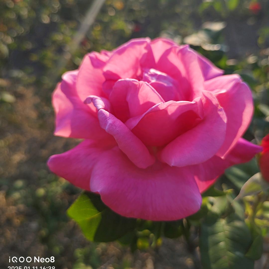 💞渡劫💫心空