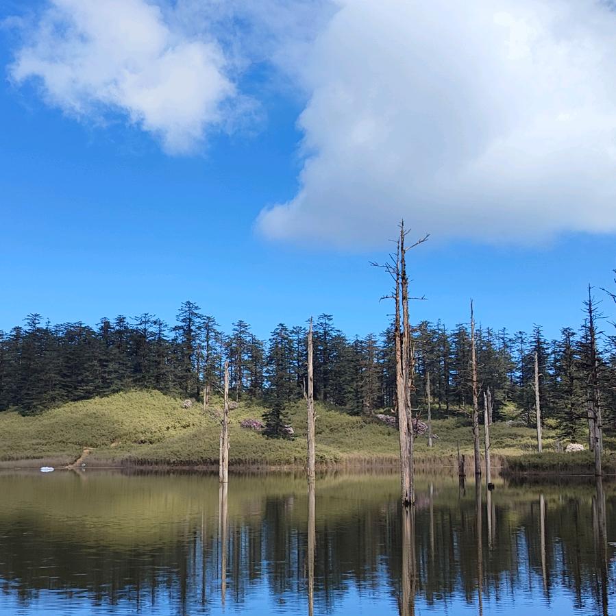 我睡觉的时候不困