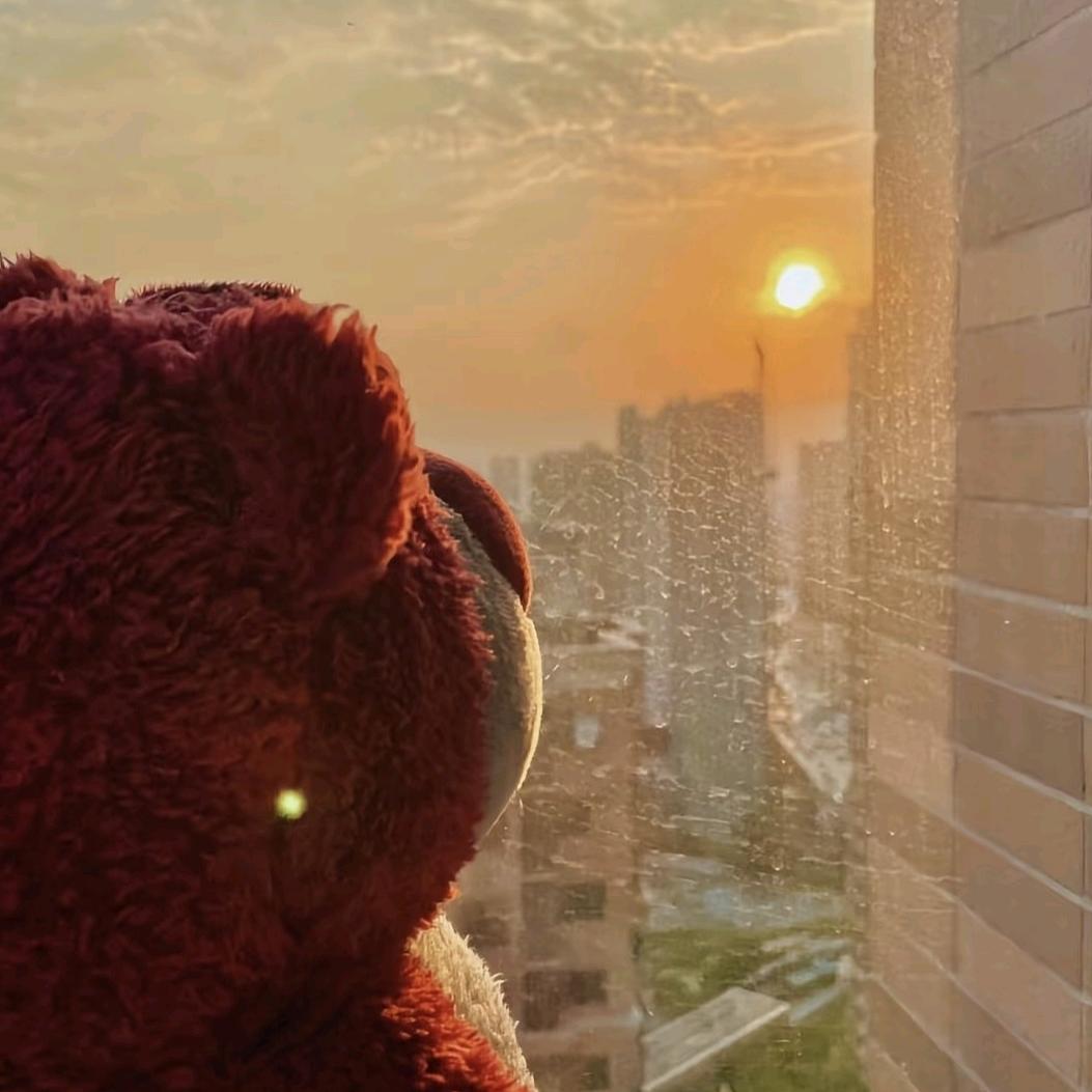 小狮子数码新零售