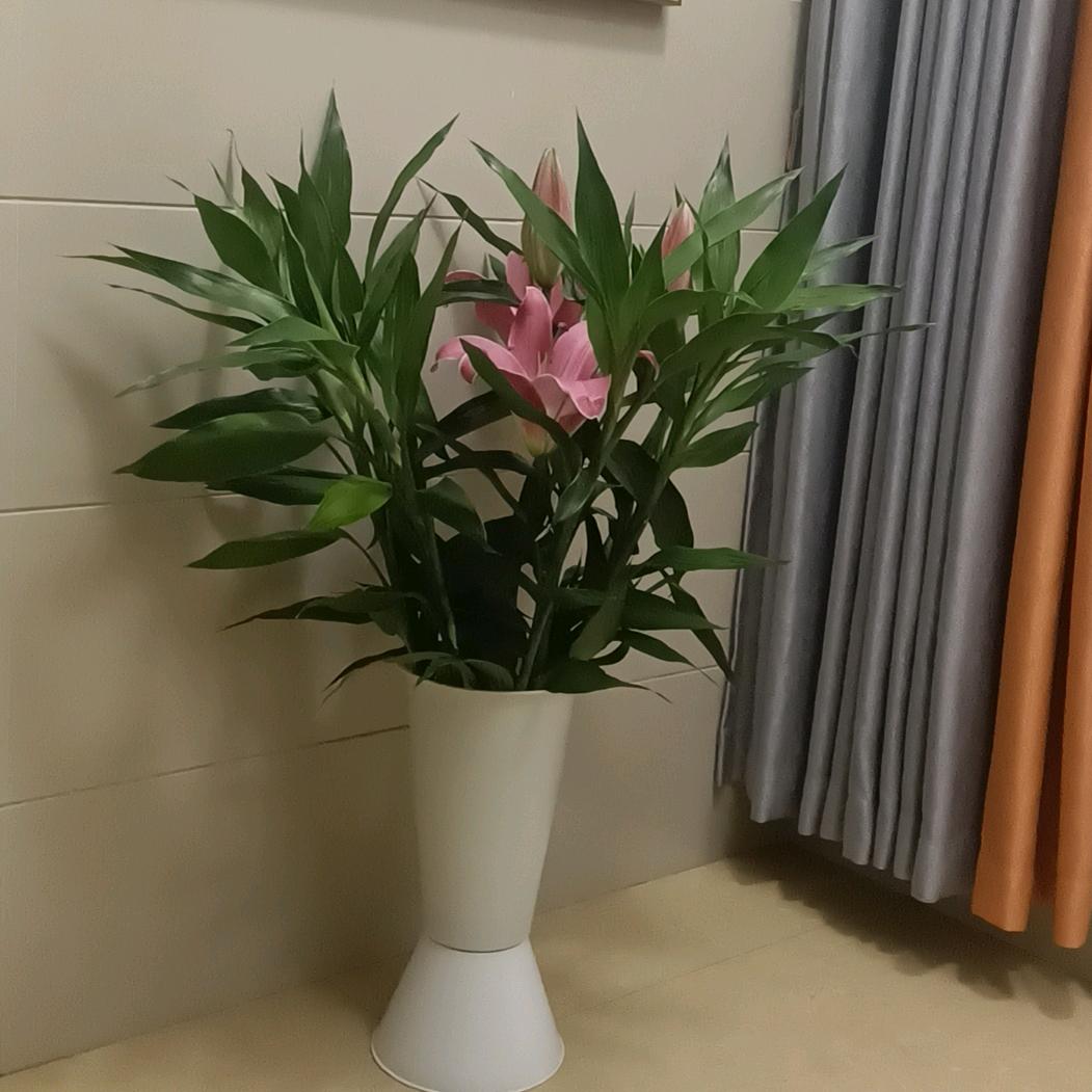 单亲妈妈