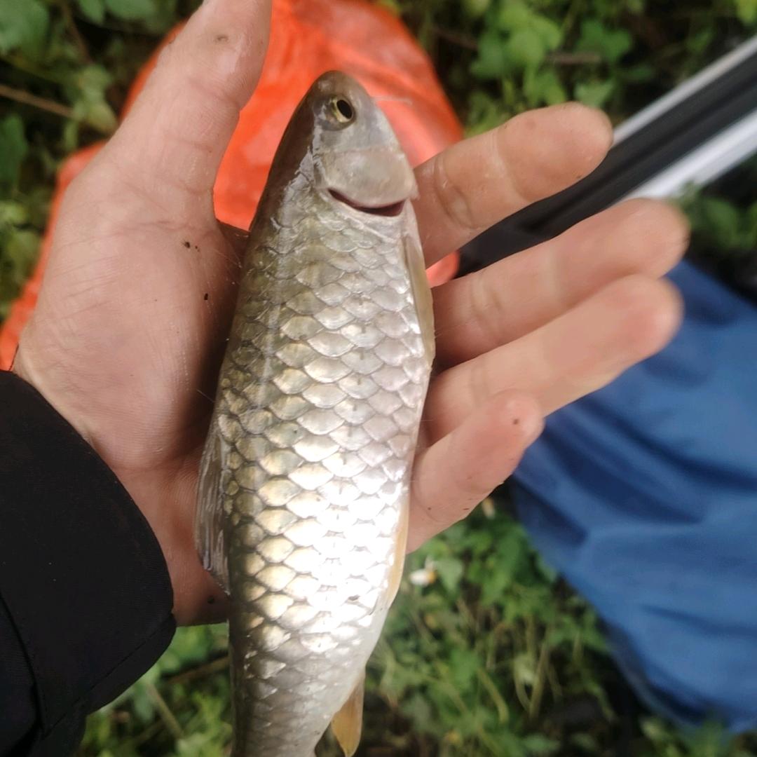 勇哥渔🐡乐