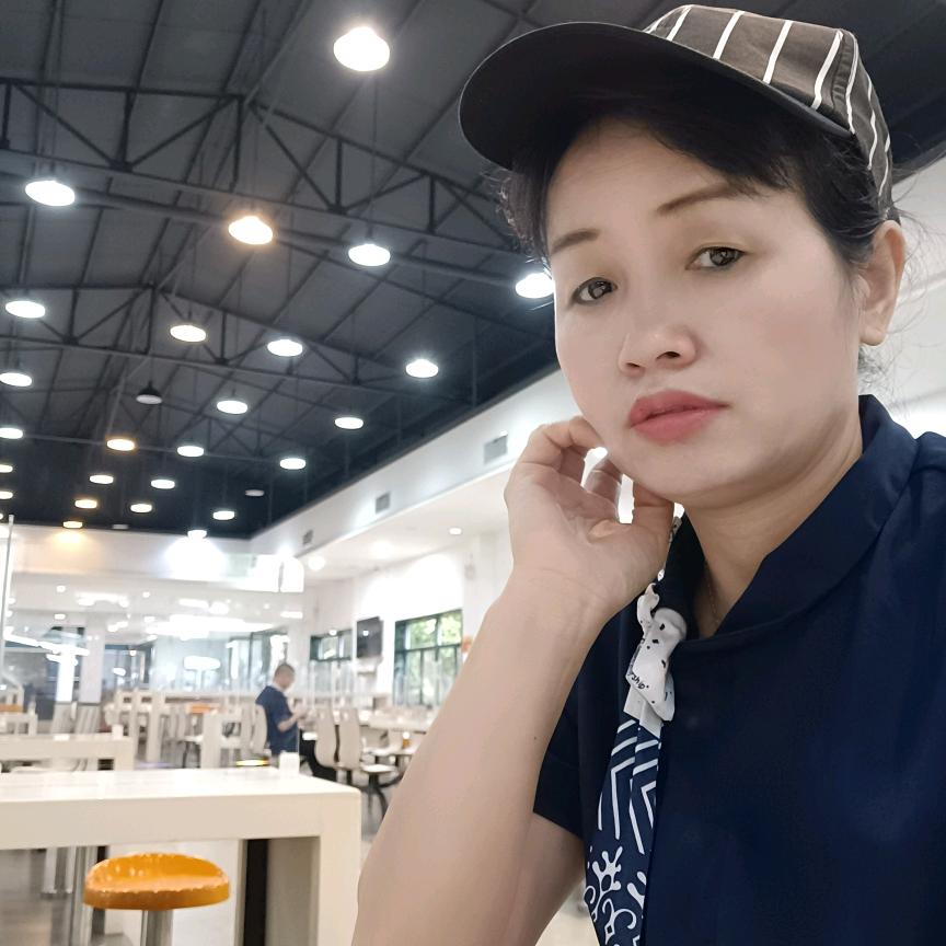 鸿燕