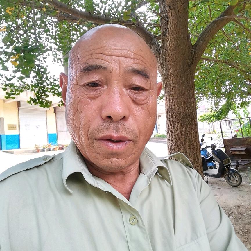 山东老宋