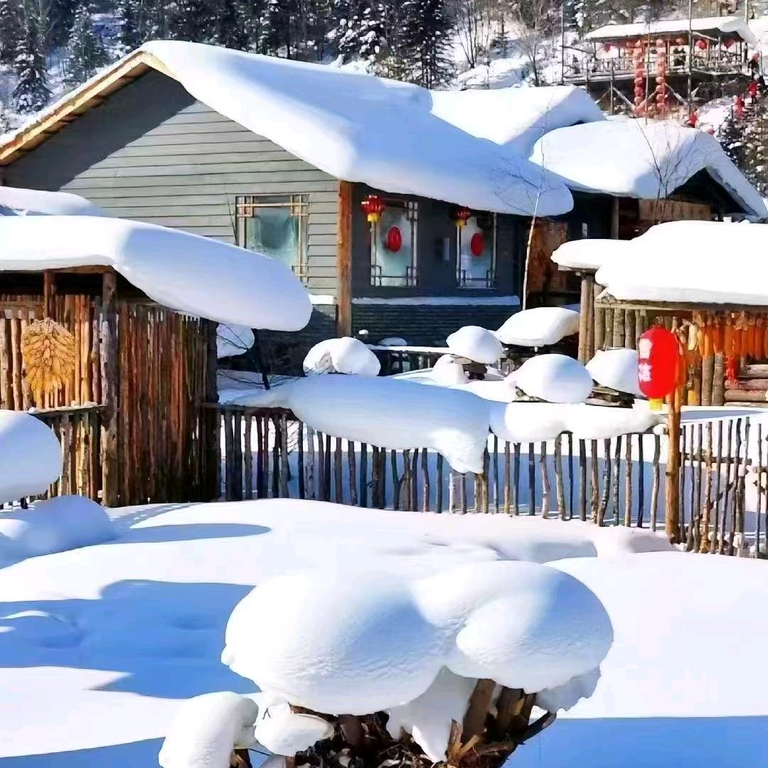 @旅游晓静 （哈尔滨 雪乡）