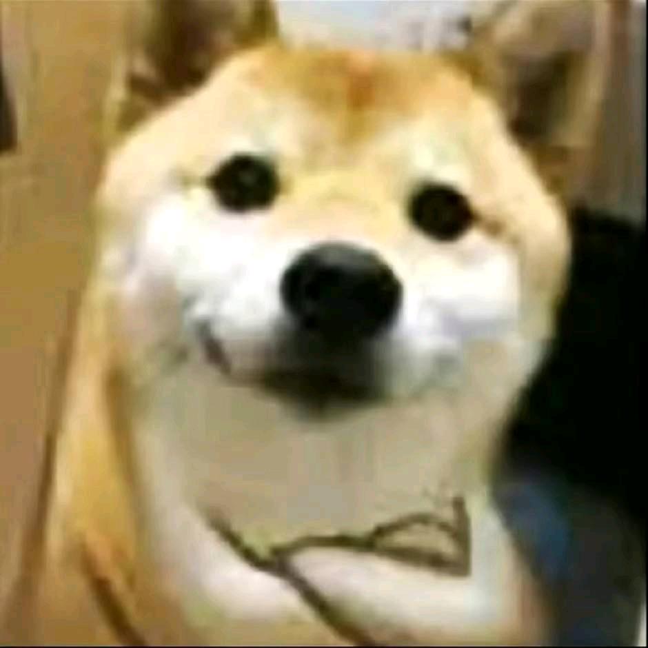 大爱橘子