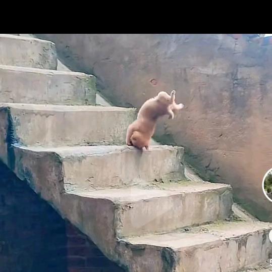 我下辈子不做女人