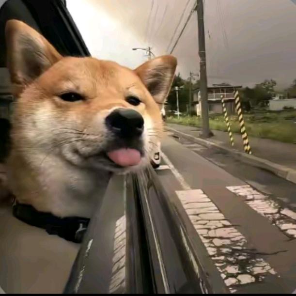 加一。