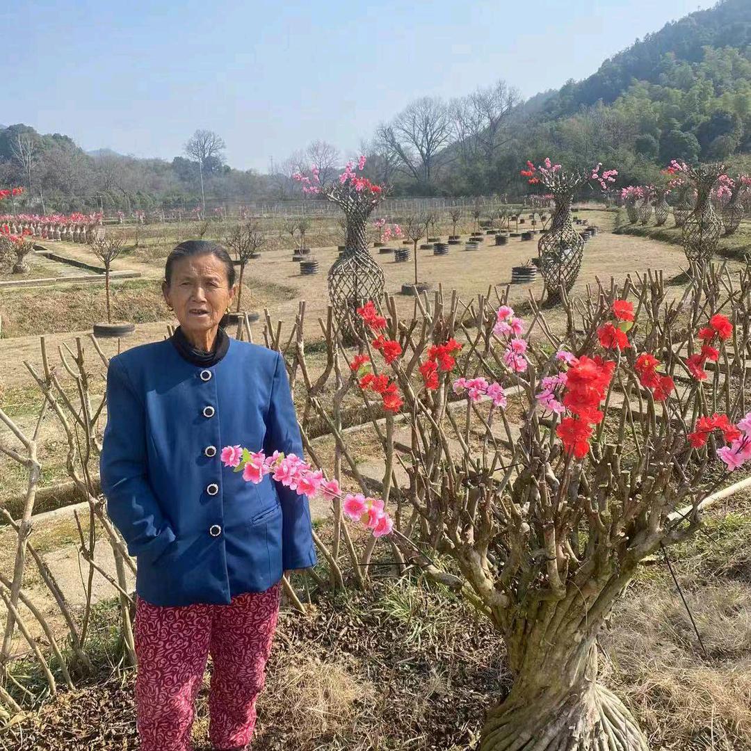 余世兰