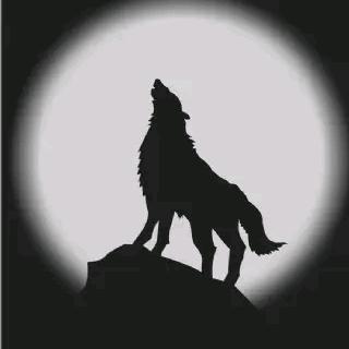 ｛【《🥋🦌🐘💦》】｝