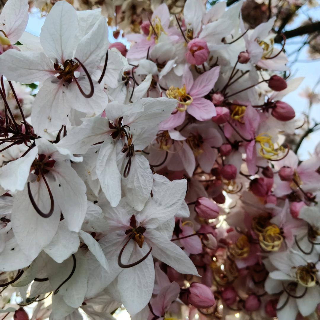 让心归零,微笑前行