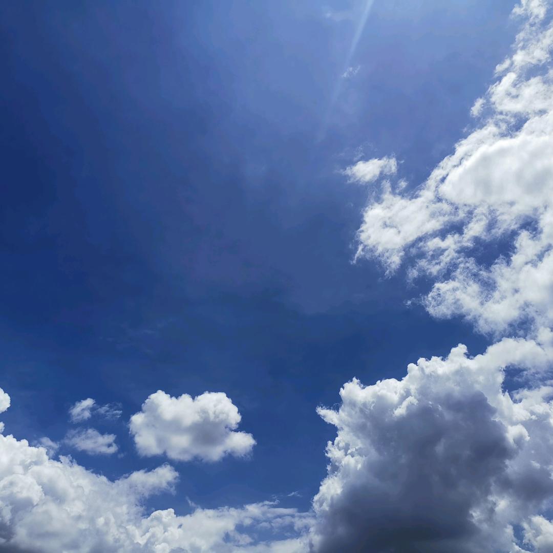 西服配帆布鞋，青春疼痛文学