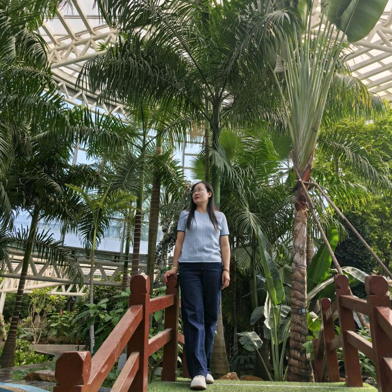 阿丽