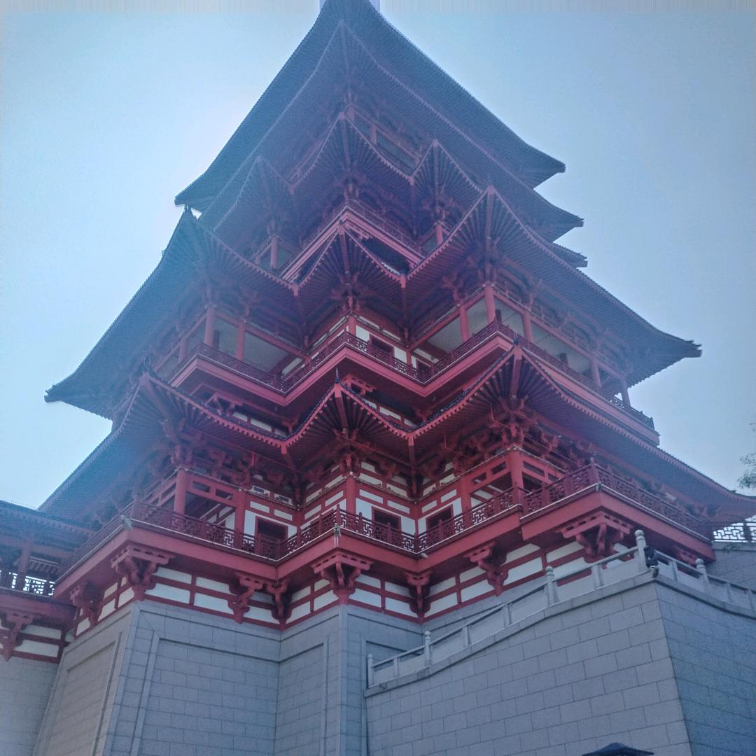 春风十里桃花