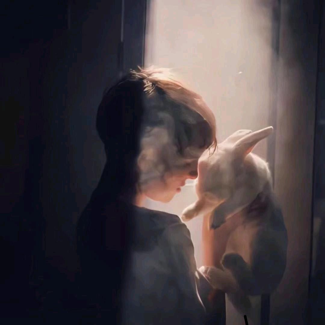 日暮飞鸟渡ㅤㅤ