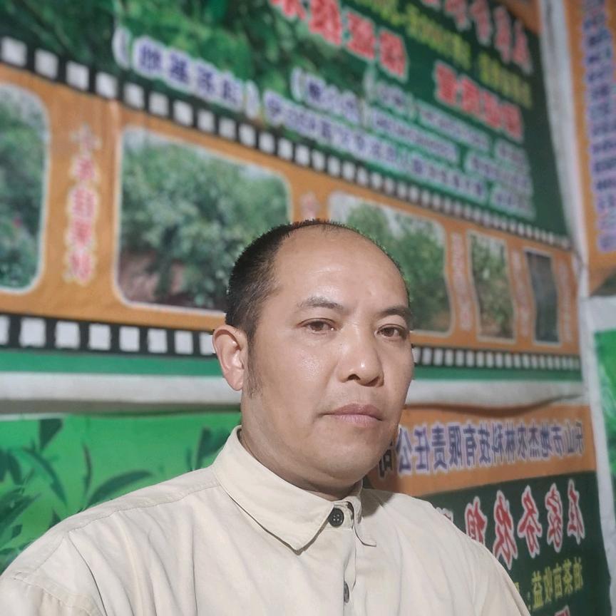 张氏家族