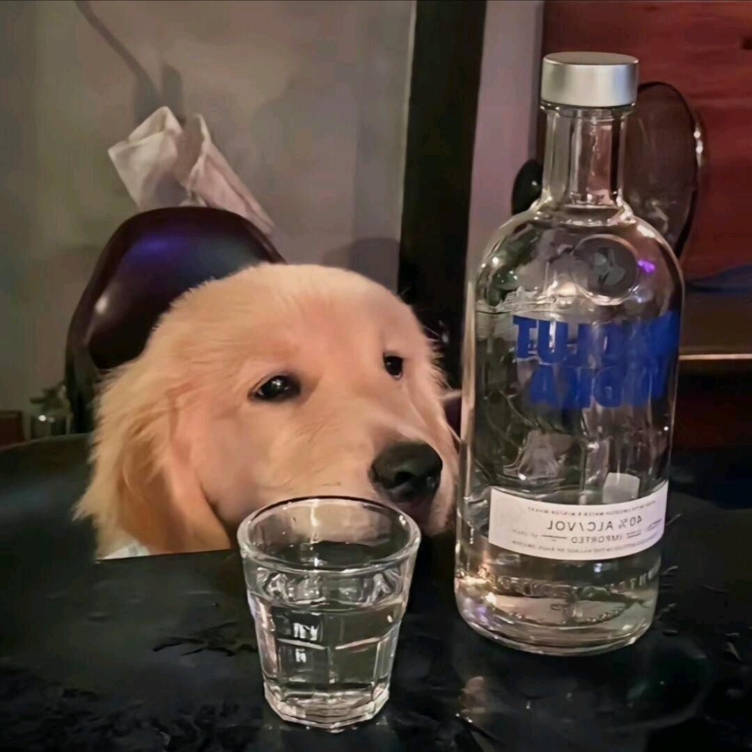 火锅嘟