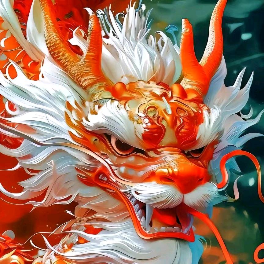 龙哥二号