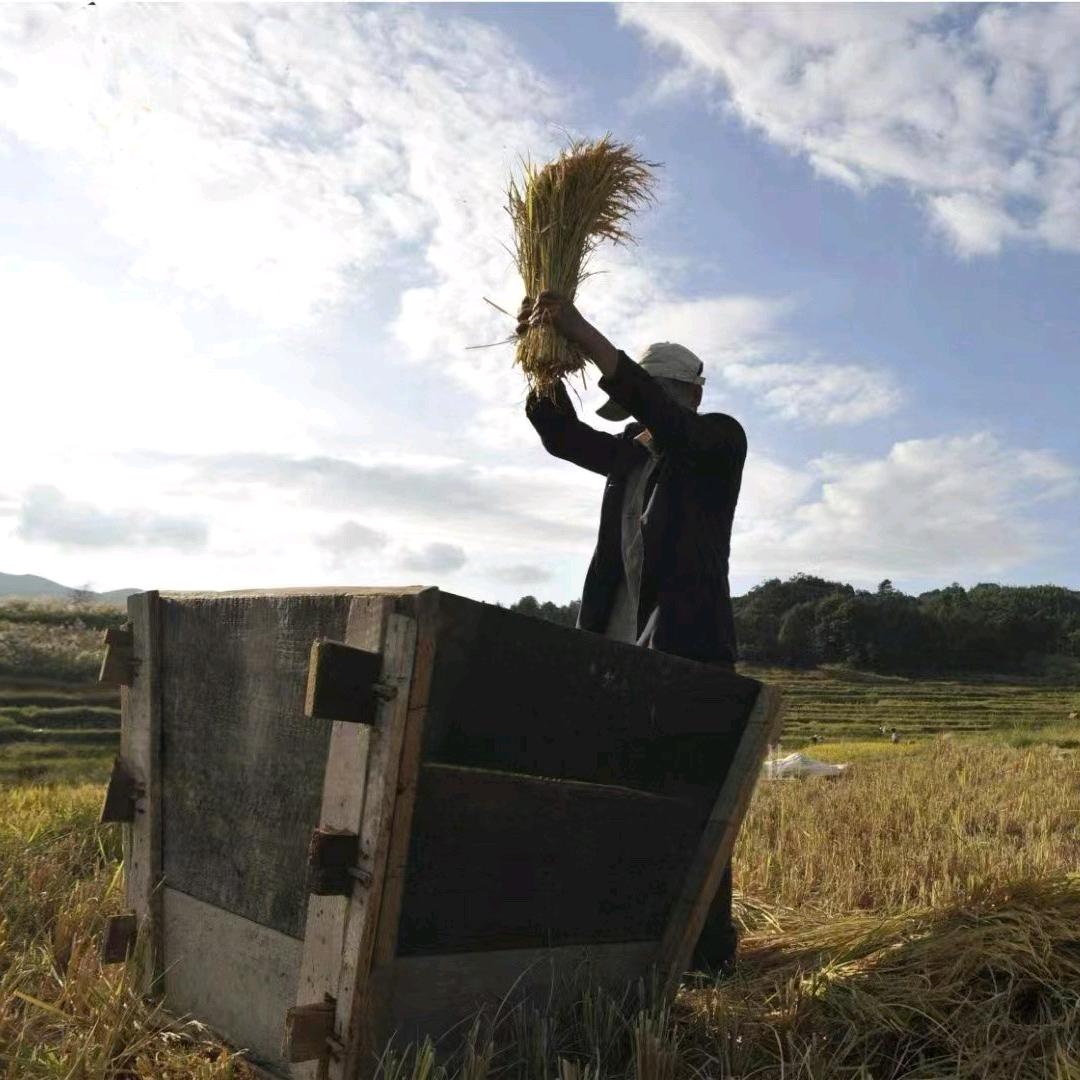 ᭄牛ོ转乾坤࿐