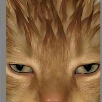 0000