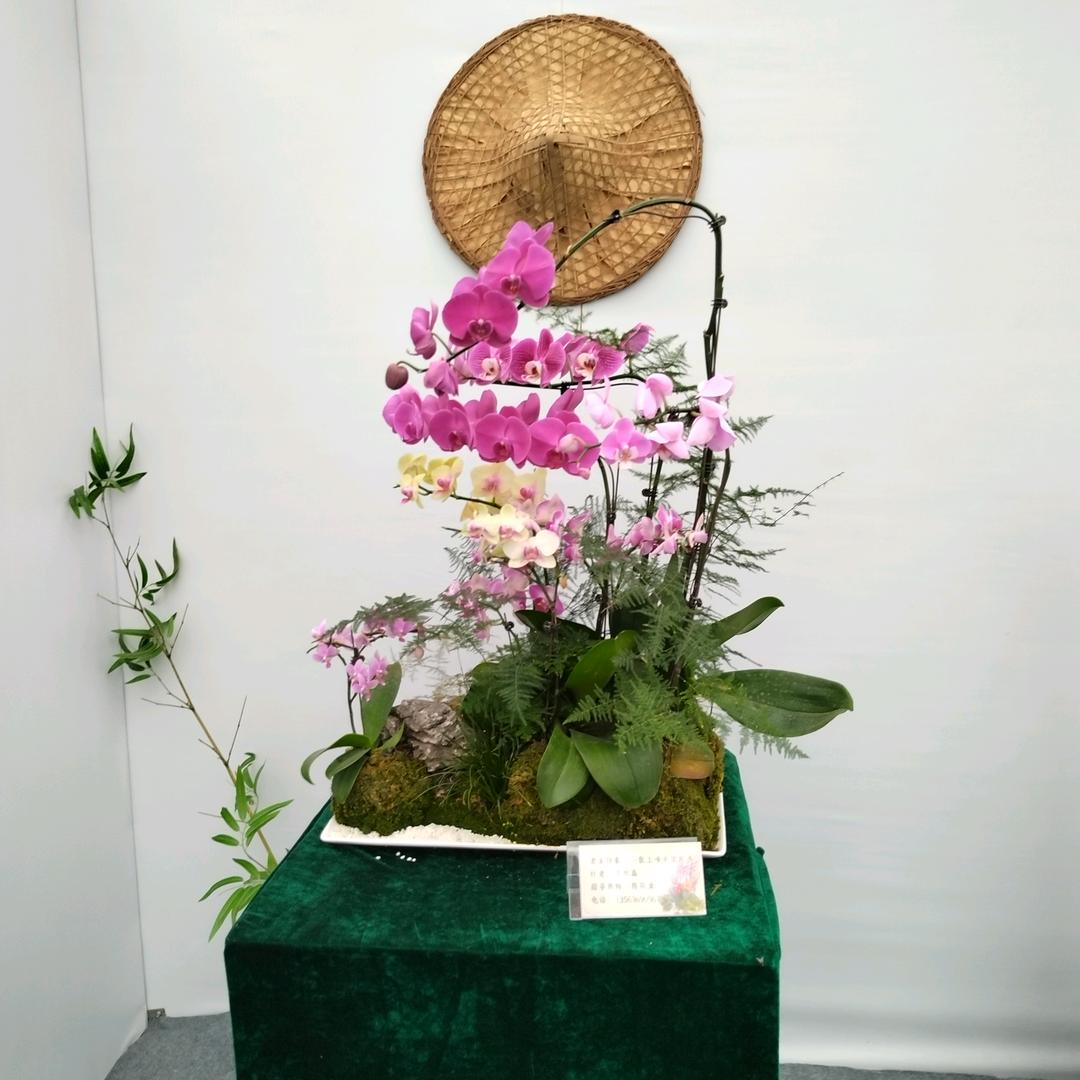 王芳