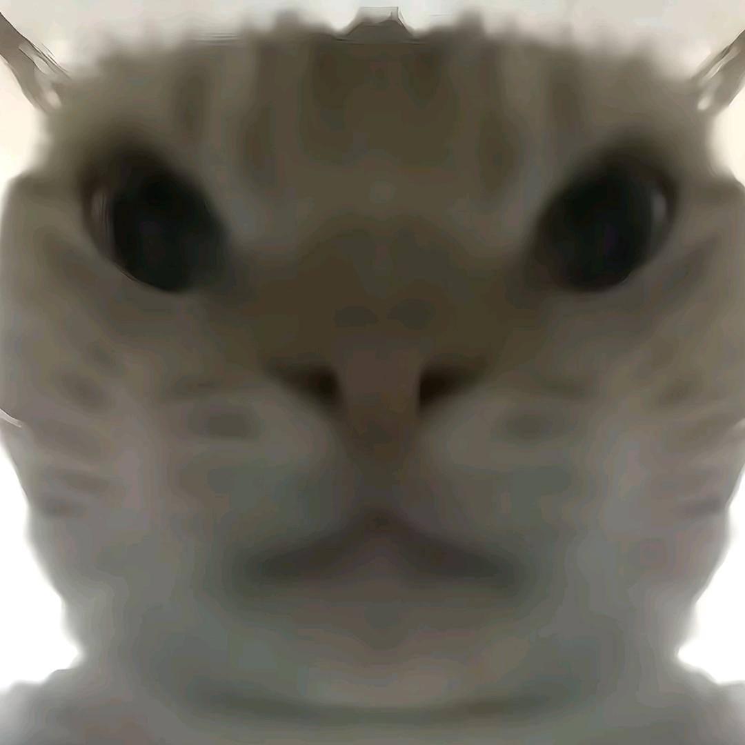 鼠鼠大龙