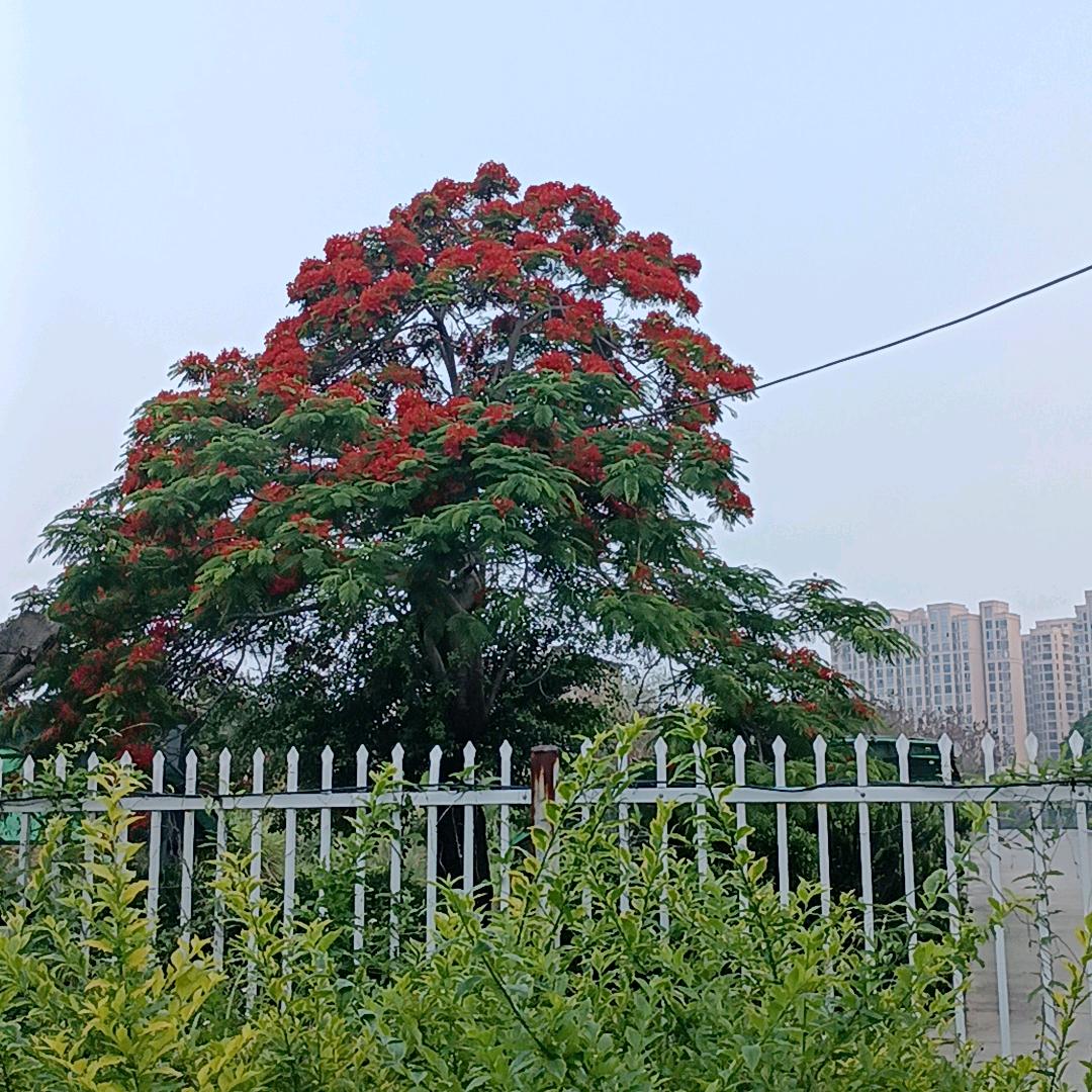 到处乱逛