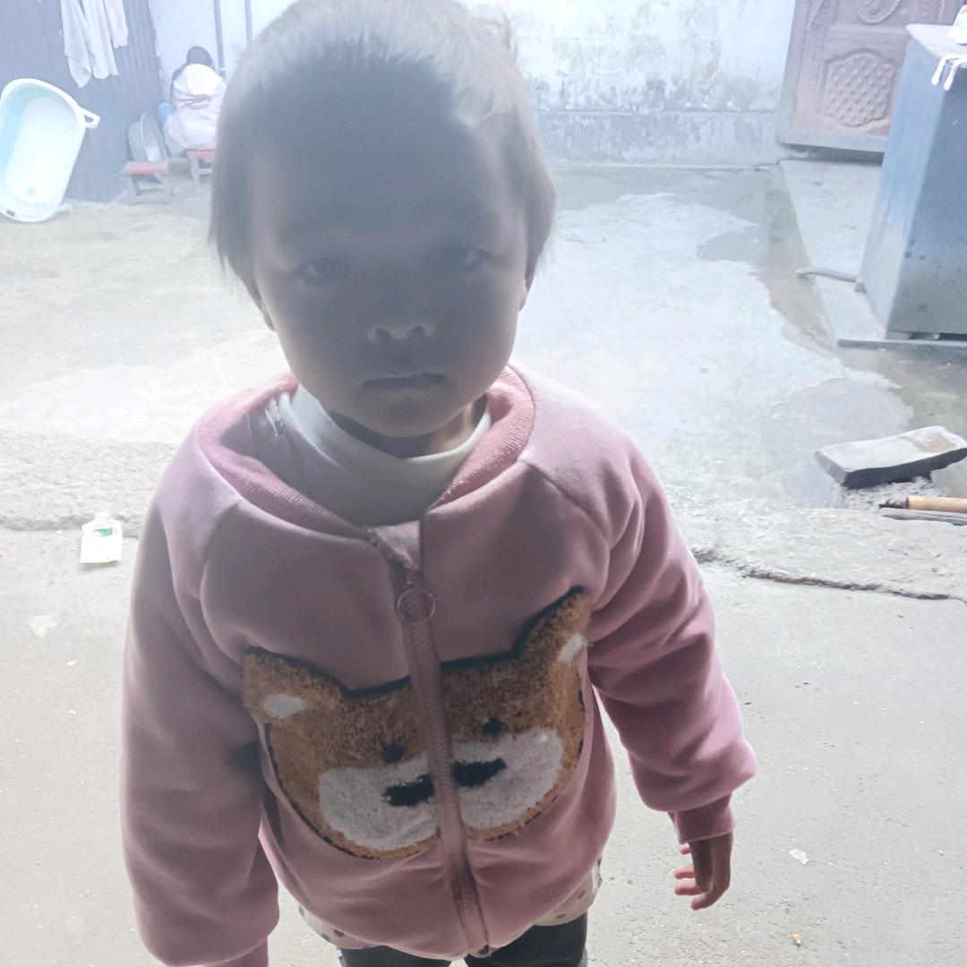 夏天的月季👨‍👩‍👧‍👦🌹👭