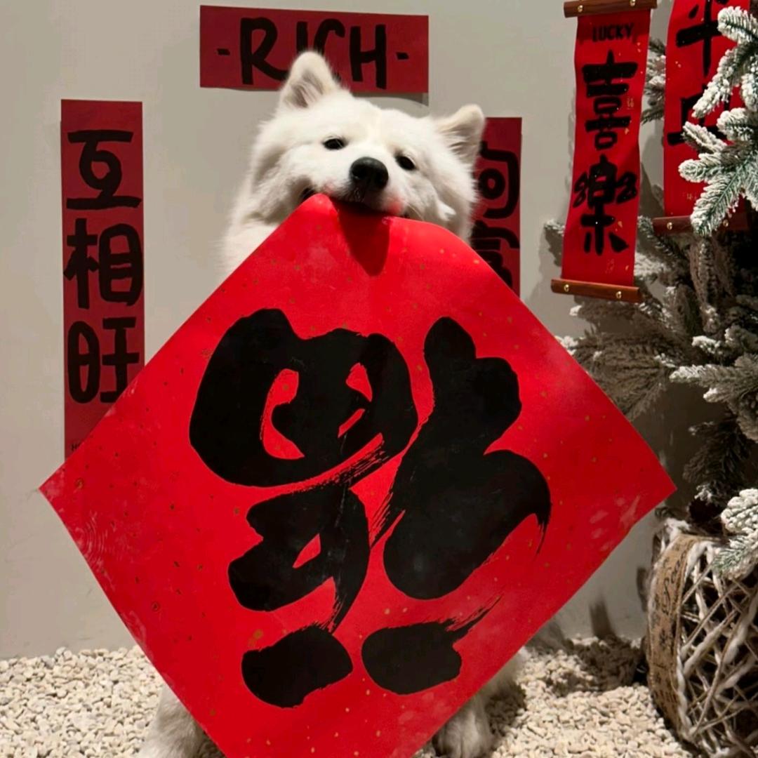 重逢