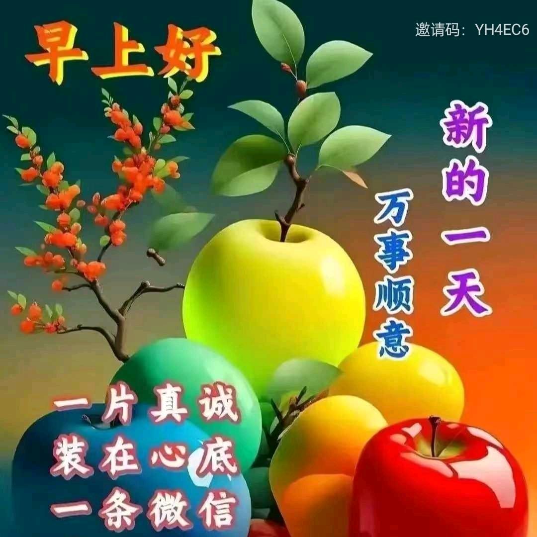 徐姐