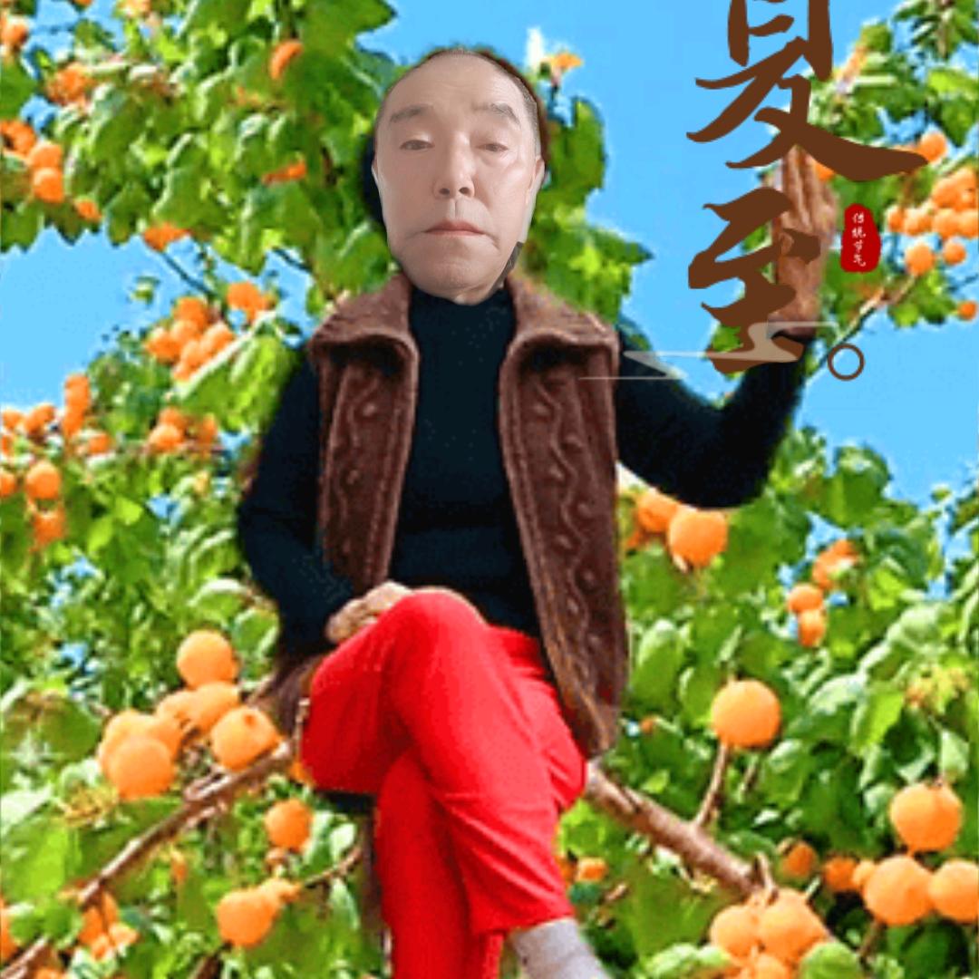 夕阳岁月