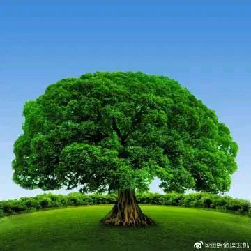 东北于姐