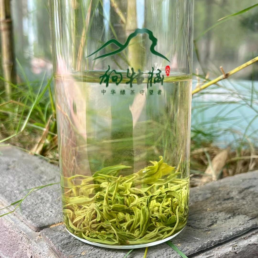 源优茗狗牯脑茶小斌哥