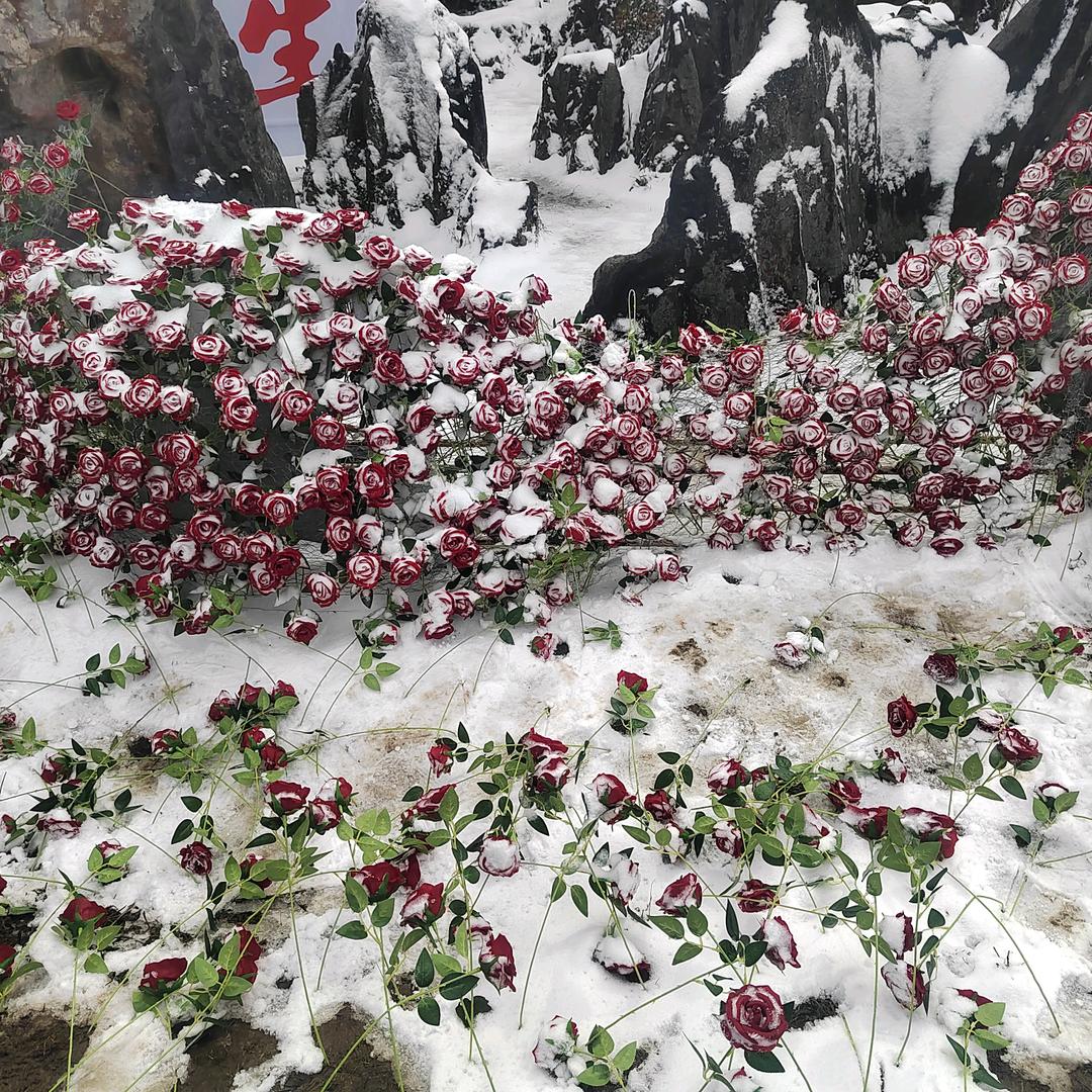 古    月