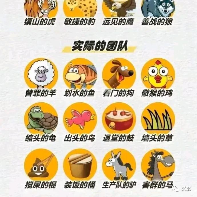 屎倒淋头还要搅便