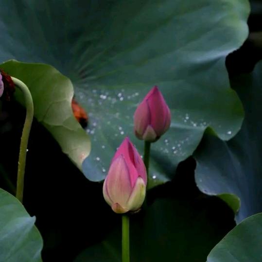 生活用品合作供销站