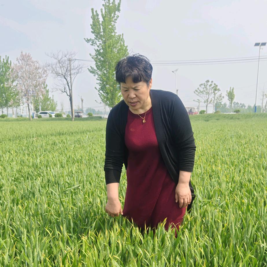 30年农资人先能刘姐