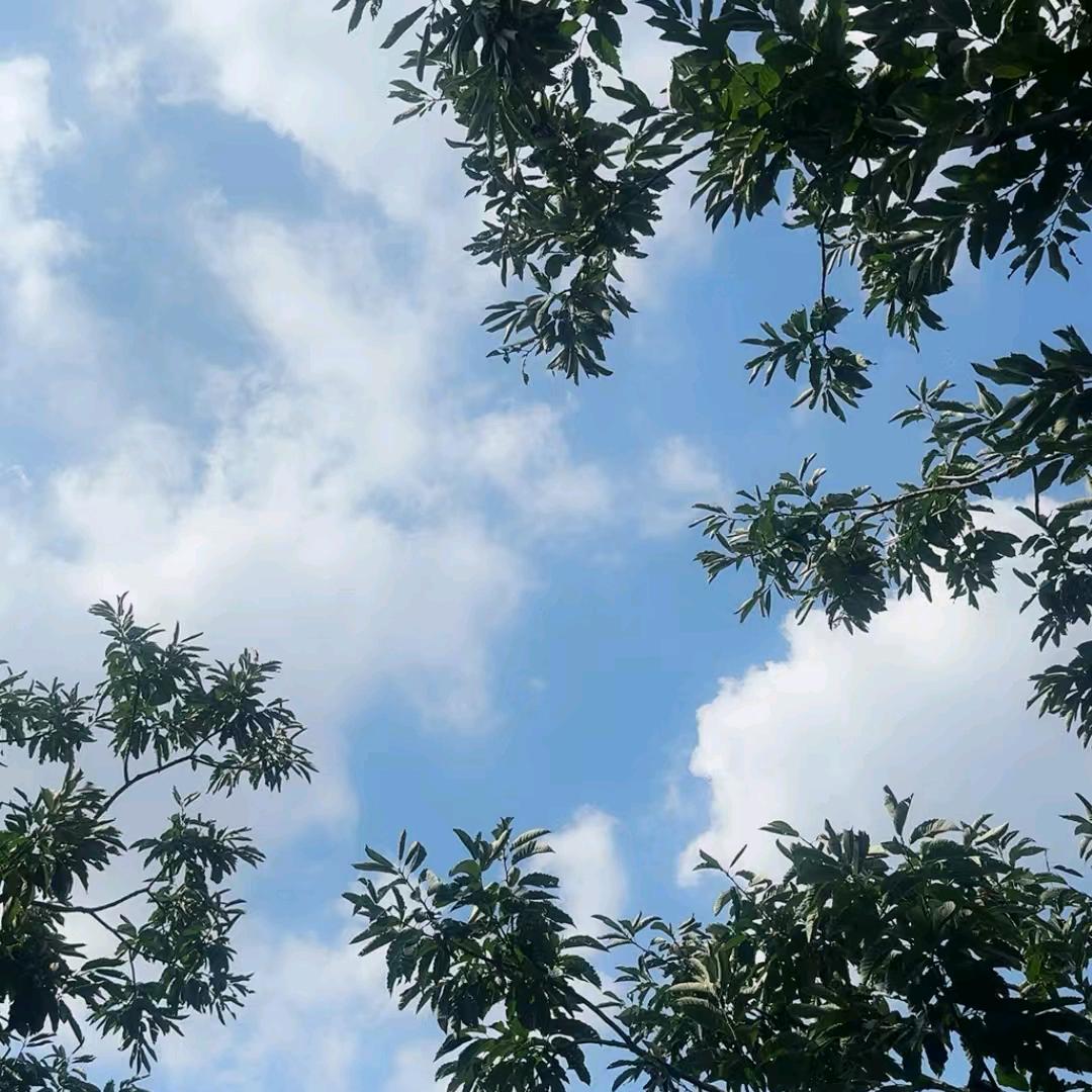 秋天🍒