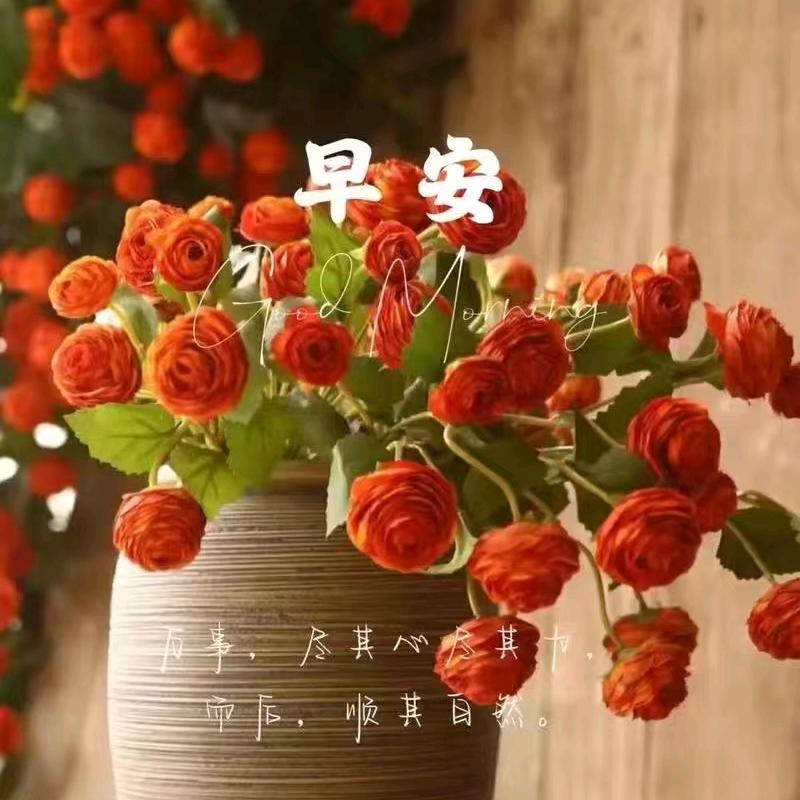 梦想云姐