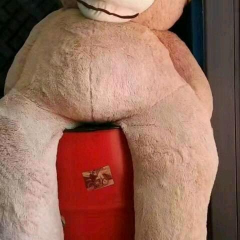 战武
