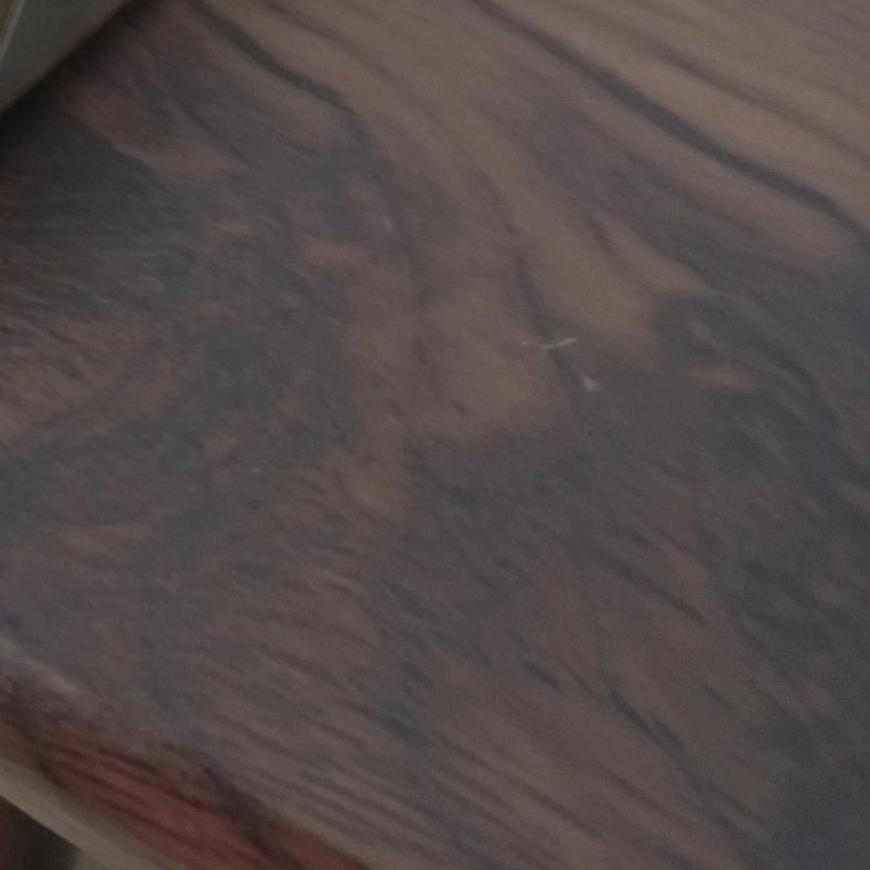 爱情公寓房@抖音